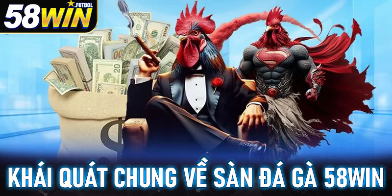 Khái quát chung về sàn đá gà 58win