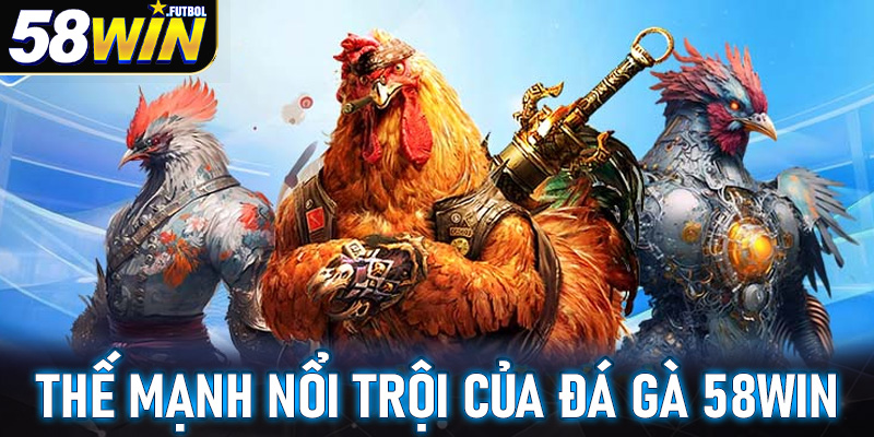 Một số thế mạnh nổi trội của sàn cá cược đá gà 58win