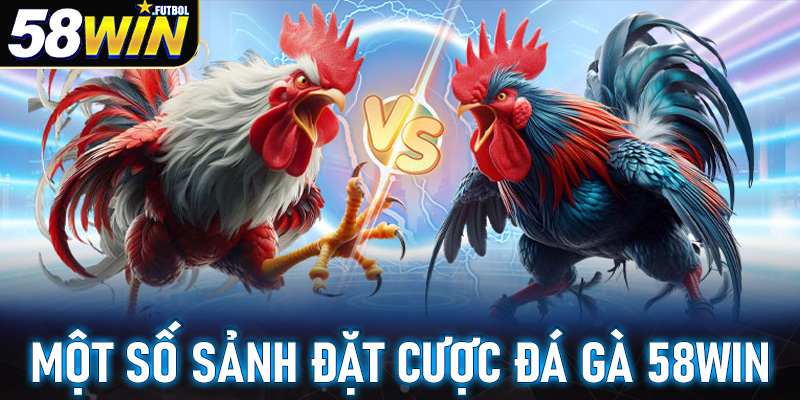 Một số sảnh đặt cược đá gà 58win được ưa chuộng nhất