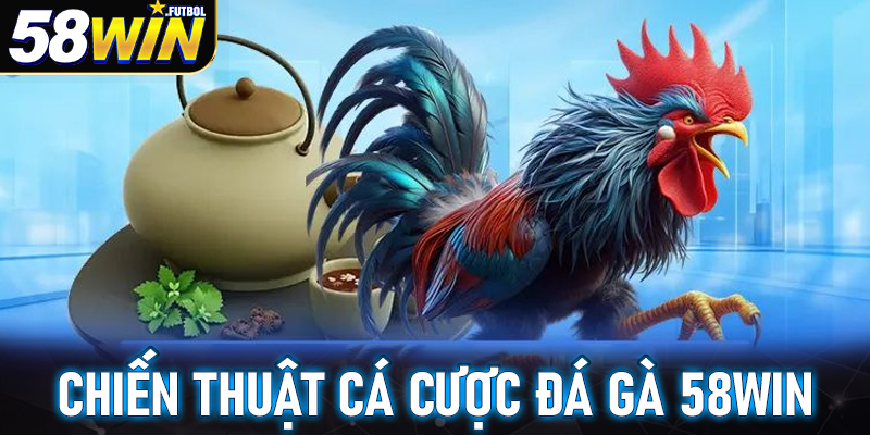 Chiến thuật cá cược đá gà 58win dành cho bet thủ